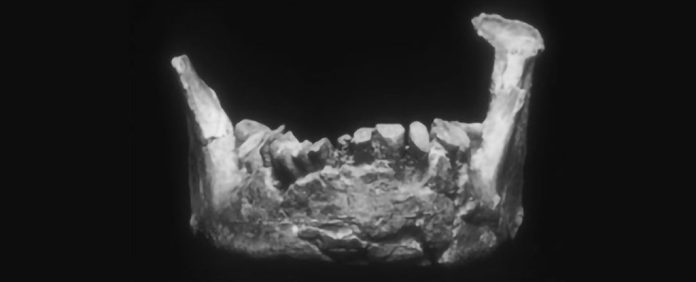 Este pode ser o fragmento mais antigo de humanos modernos na Europa, ou algo ainda mais raro