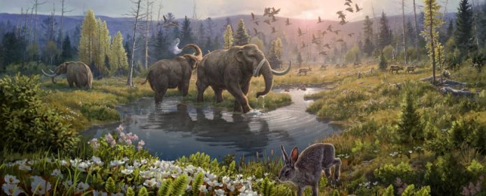 Cientistas reconstruíram um ecossistema de 2 milhões de anos a partir de DNA antigo