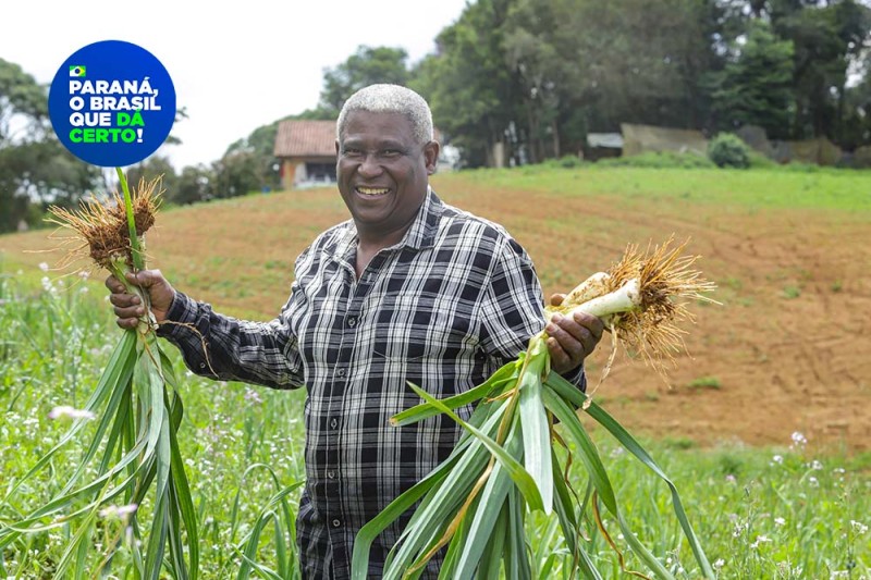 Foto: Roberti Dziura Jr/AEN