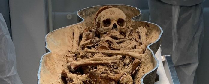 Crânio serrado encontrado em misterioso caixão de Notre Dame sugere a vida de um nobre