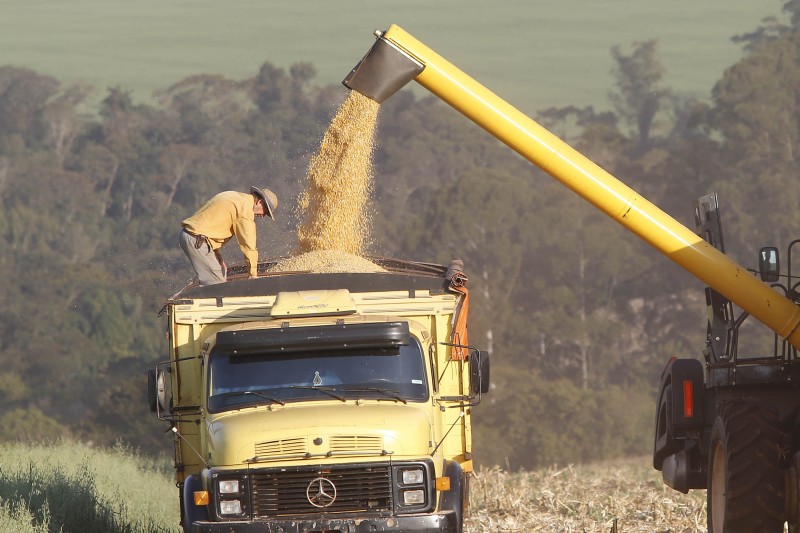 Foto: Albari Rosa/AEN