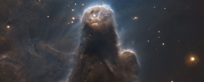 Esta impressionante nebulosa escura parece uma sentinela cósmica observando as estrelas