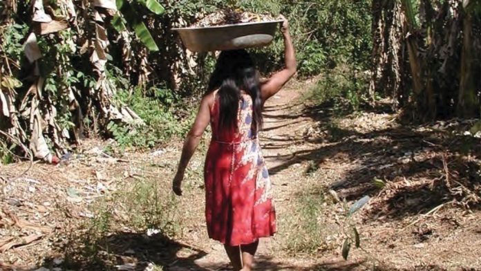 Indígenas podem ter criado a ‘terra preta’ da Amazônia de propósito