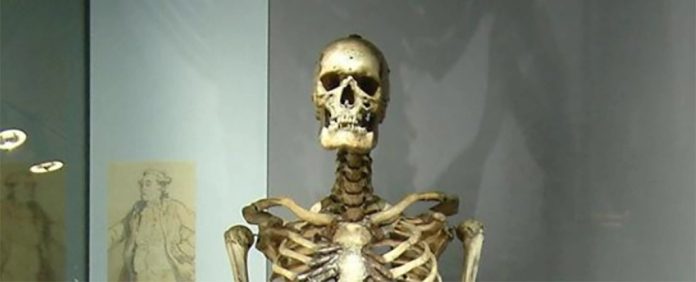 ‘Gigante irlandês’ finalmente encontra alguma privacidade 200 anos após incidente de roubo de corpos