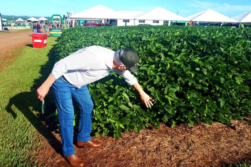 Foto: Evandro Fadel/SEAB-PR