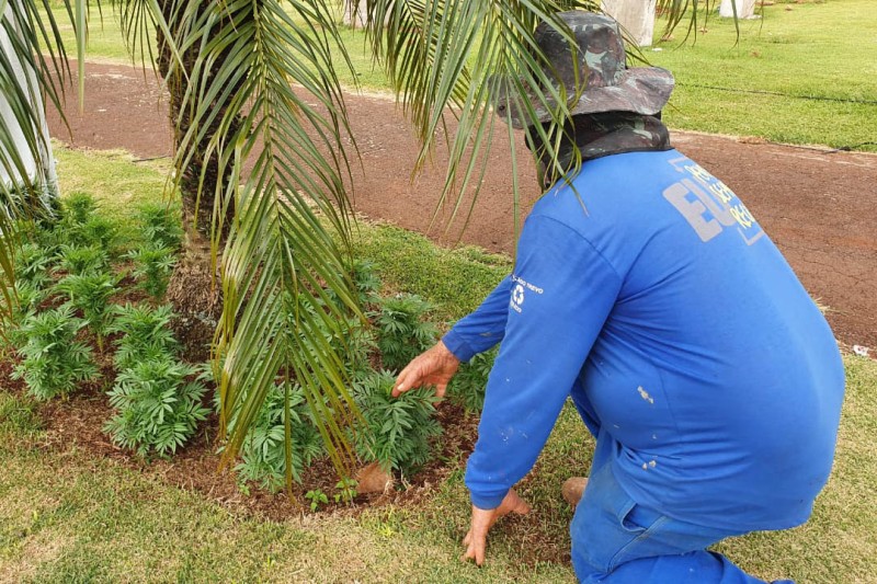 Foto: Polícia Penal