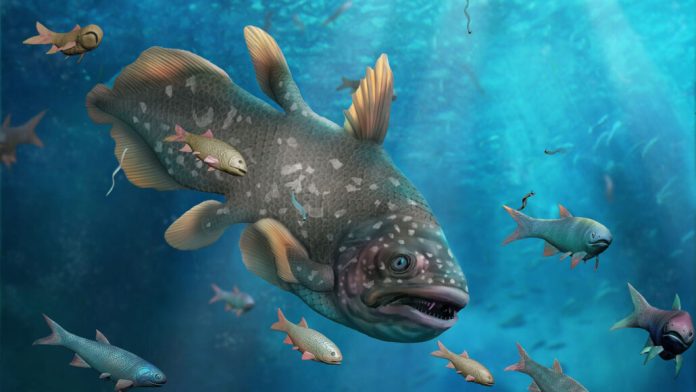 Após a extinção em massa mais mortal da história, a vida oceânica pode ter florescido