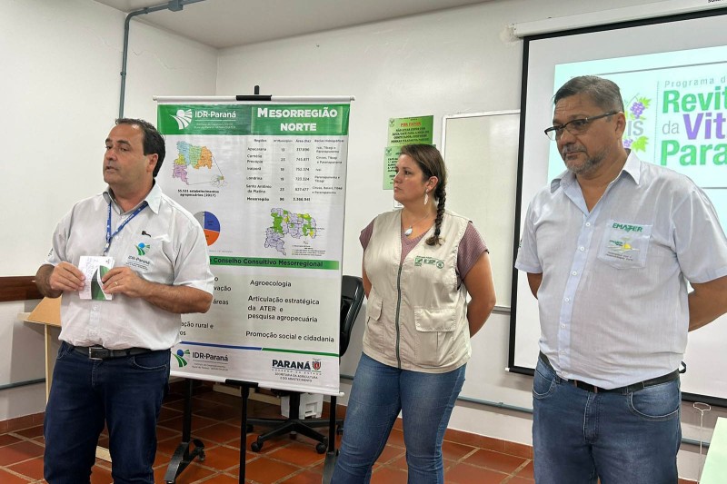 Foto: Edmilson Liberal/IDR-PARANÀ