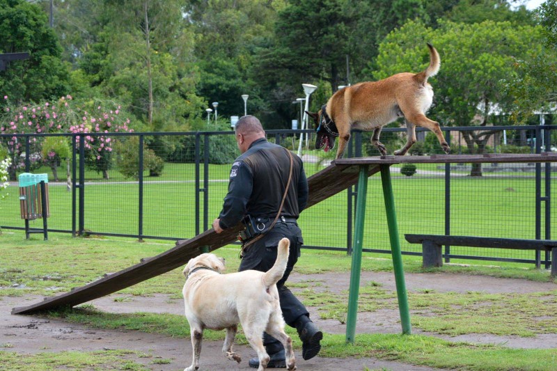 Foto: Polícia Penal
