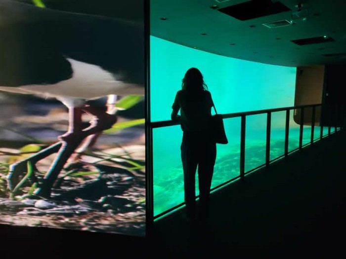 © Águas do Rio/Divulgação