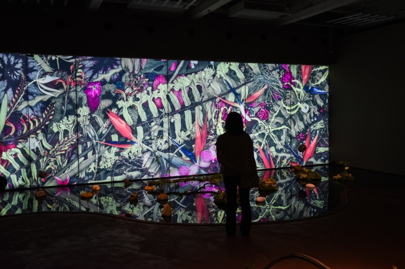 Créditos: Alê Virgílio