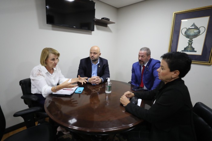 O objetivo do grupo parlamentar é entender melhor a realidade dos municípios sobre vários assuntos que interferem na vida da população, como saúde, educação, segurança e meio-ambiente, por exemplo. / Créditos: Valdir Amaral/Alep