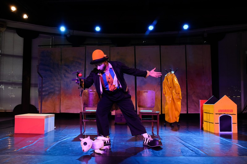 Rocila Vicenze - Mayron Engel