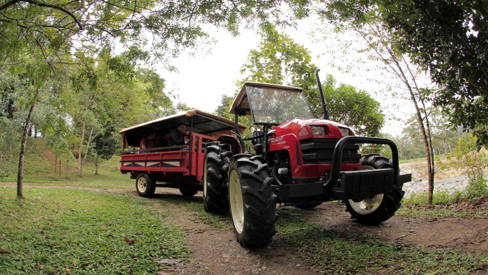 Museu rural Ango Kersten em Joinville - SC. Crédito: divulgação MTur