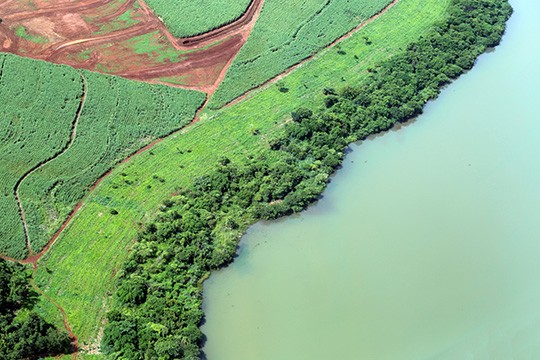 Rio Grande em Conquista (MG) - Foto: Raylton Alves / Banco de Imagens ANA