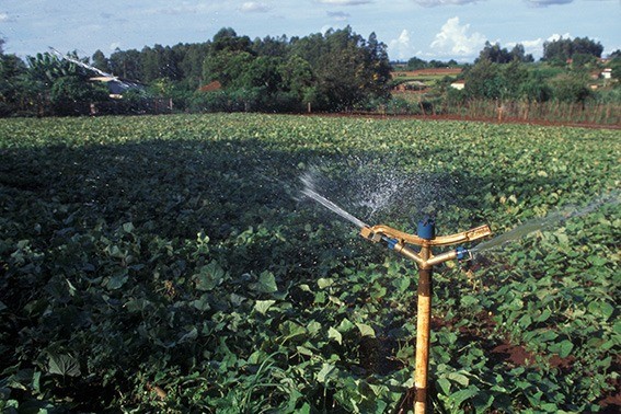 Irrigação - Foto: Zig Koch / Banco de Imagens ANA