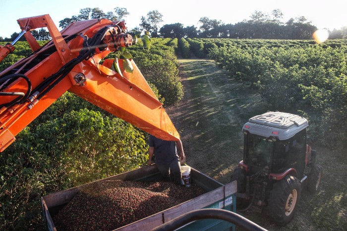 Foto: Gisele Barão-Seab-Pr