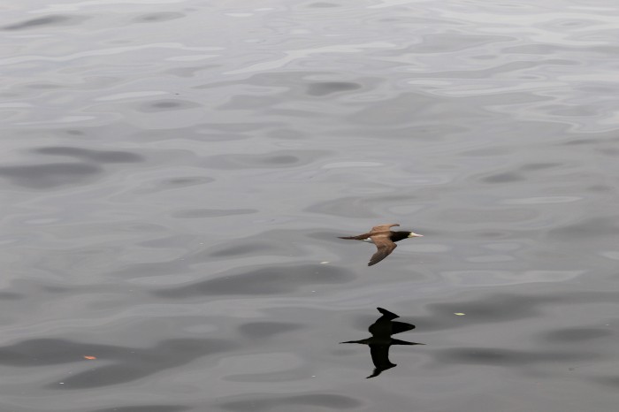 © Tânia Rêgo/Agência Brasil