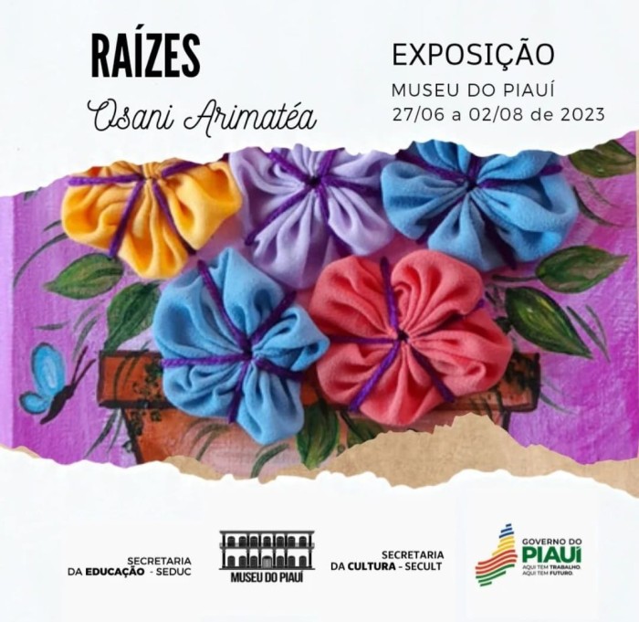 Foto: Reprodução/Secom Piauí