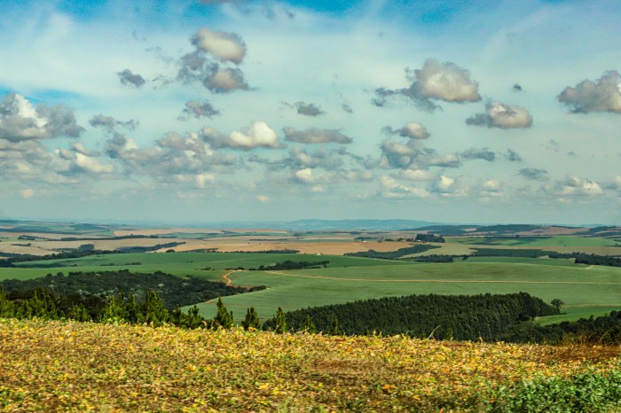 Foto: Roberto Dziura Jr/AEN