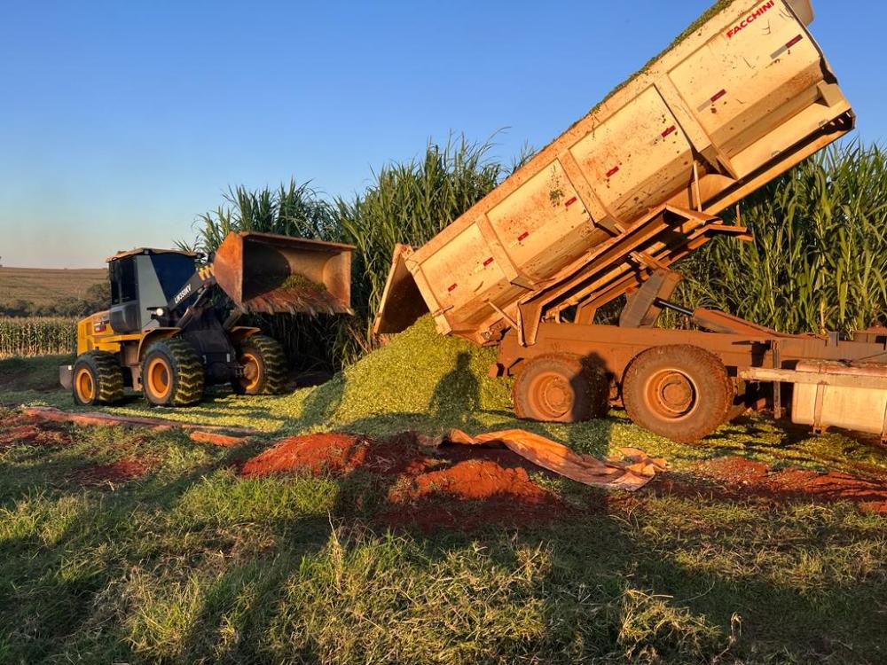 Prefeitura de Nova Cantu disponibiliza equipamentos para silagem e serviços aos pequenos produtores no mês de julho