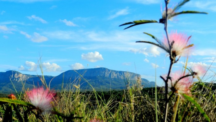 Cordilheira do Espinhaço. Crédito: divulgação Projeto
