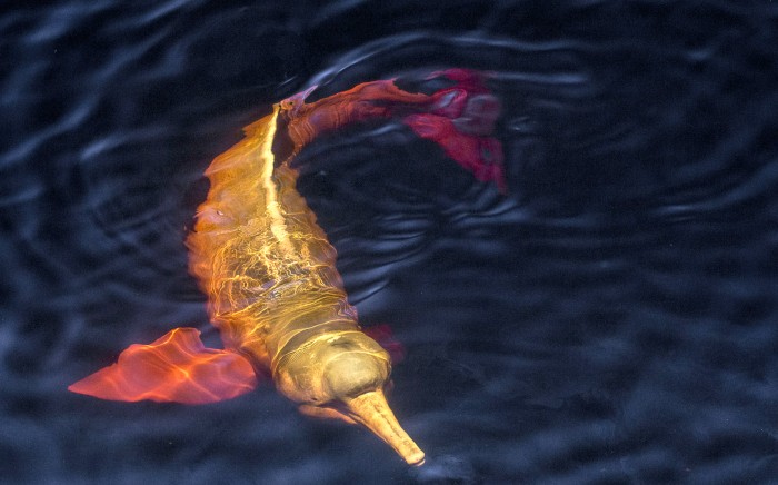 © Diogo Lagroteria/ICMBio