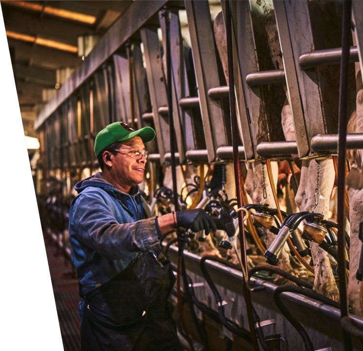 Divulgação - Elanco