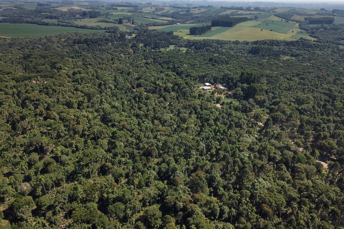 Foto: José Fernando Ogura/AEN