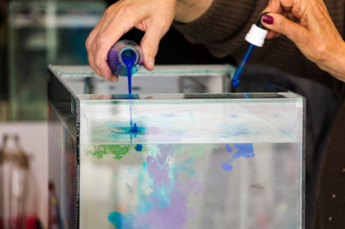 Foto: Maita Franco/MON