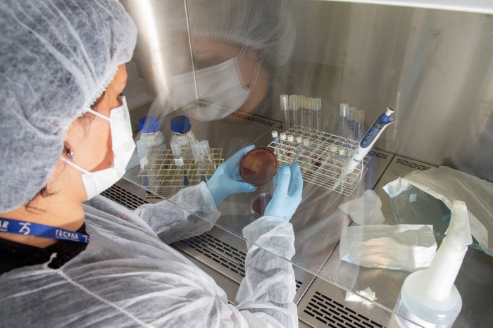 Foto: Hedeson Alves/TECPAR