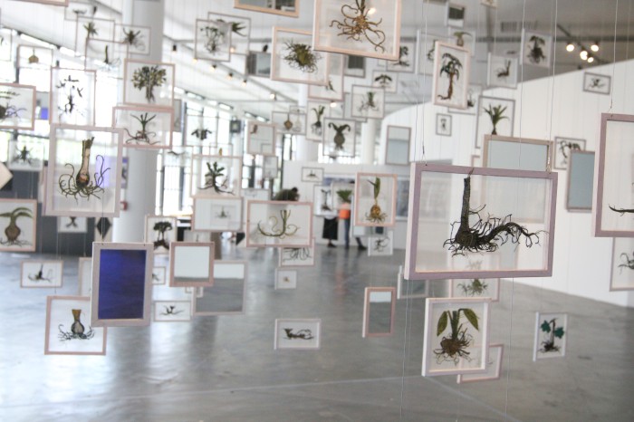 © Rovena Rosa/Agência Brasil