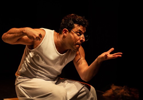 Espetáculo O Subnormal - Uma História de Baixa Visão : divulgação