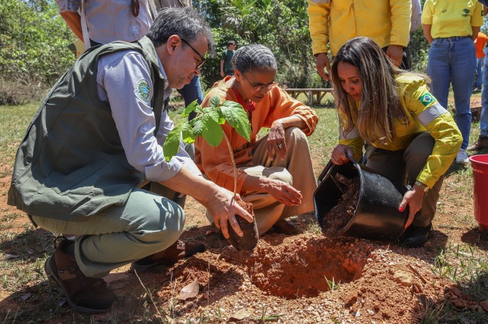 © Antônio Cruz/Agência Brasil