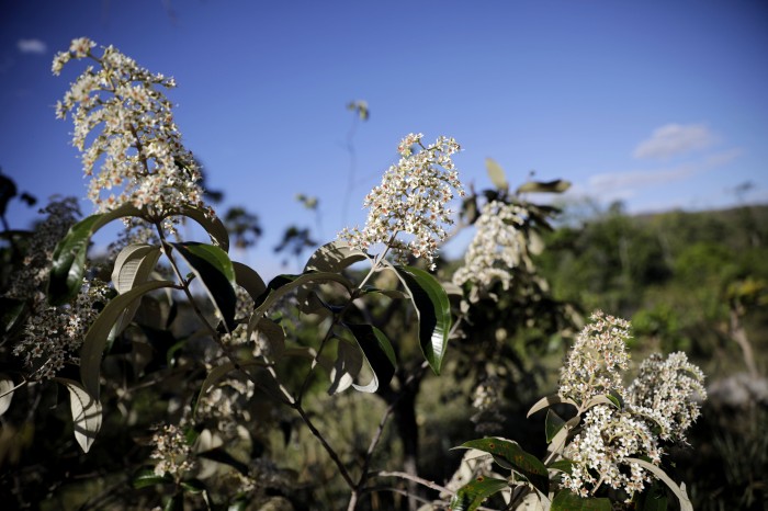 © Joédson Alves/Agência Brasil
