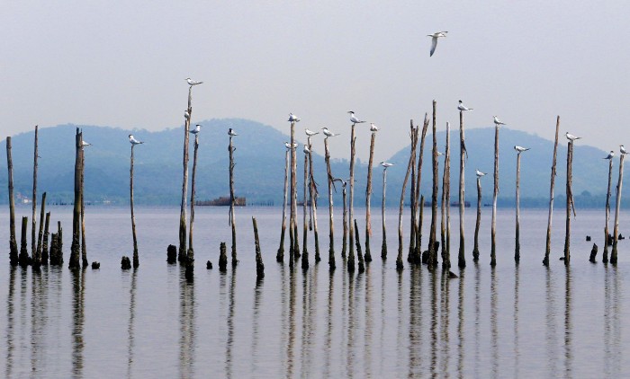© Tania Rego/Agência Brasil