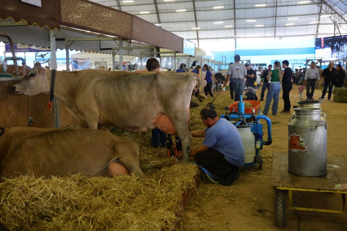 Foto: Reprodução/Secom Paraná