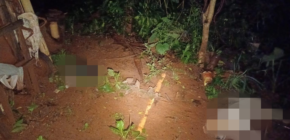 Idoso instala cerca elétrica em terreno, mata cães e causa conflito com vizinha, em Engenheiro Beltrão