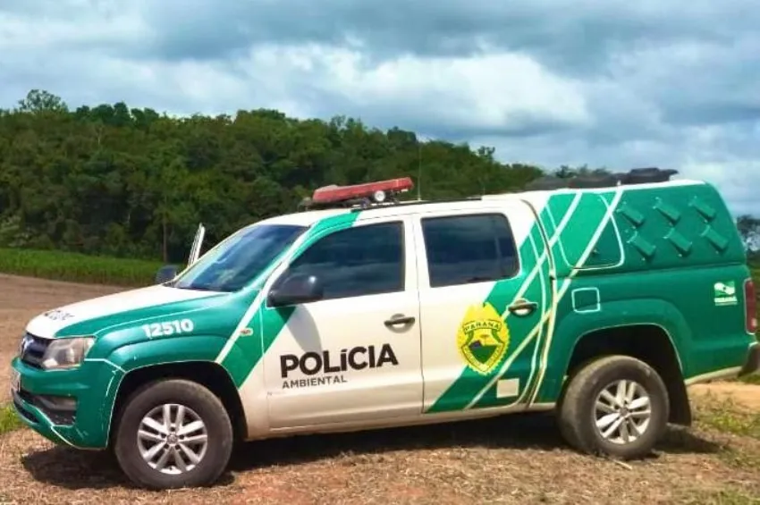 Operação da Polícia Ambiental em Campina da Lagoa resultou em aves apreendidas e R$ 64, 5 Mil Reais em multas
