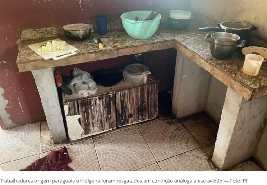 Dez trabalhadores em condições análogas à escravidão são resgatados em Pérola, no Paraná