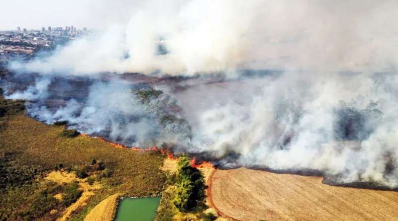 Anderson Silva/Serviços Campo Mourão