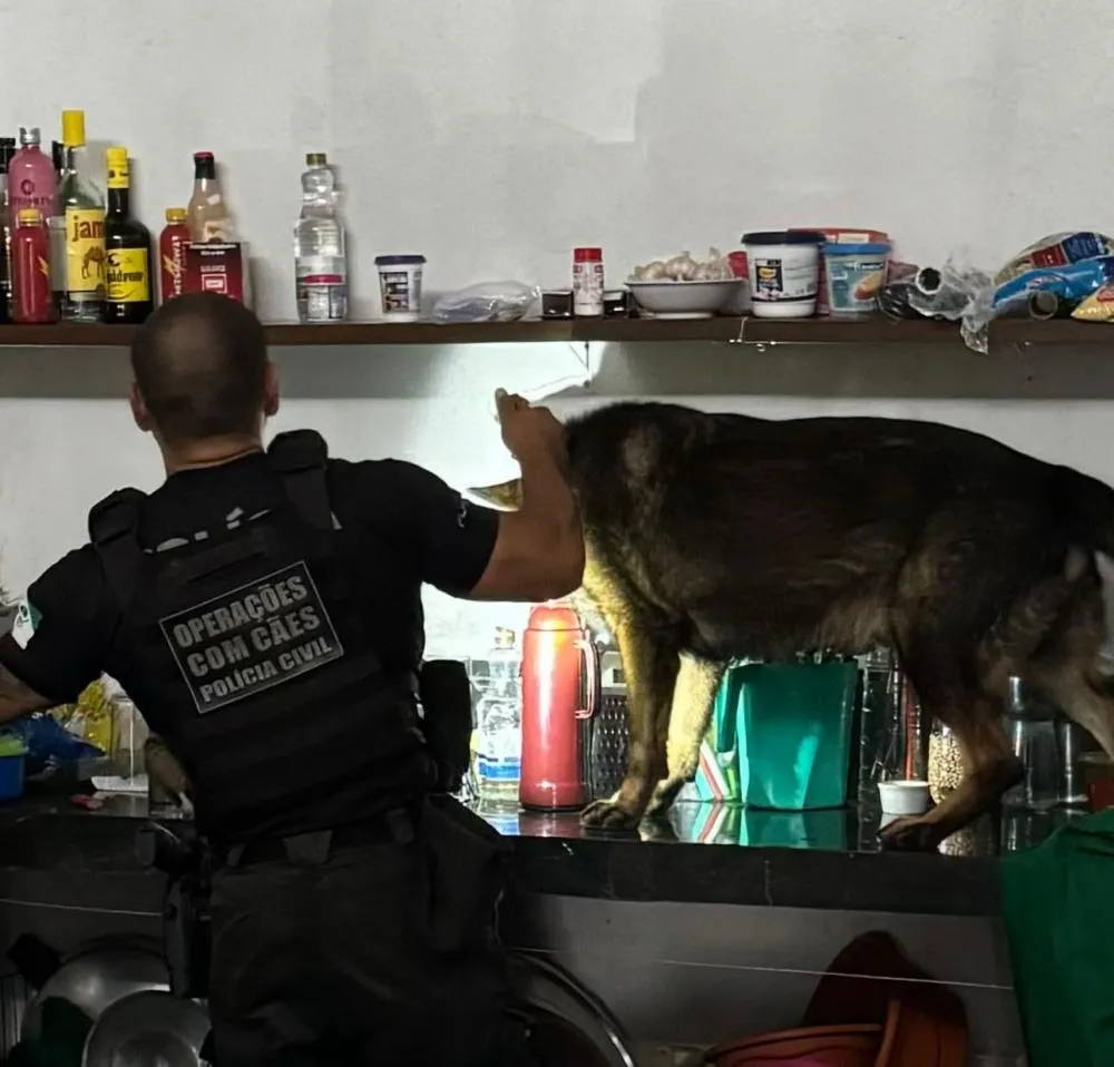 Em Campina da Lagoa; Operação executou 10 mandados e aprendeu grande quantidade de materiais ilícitos