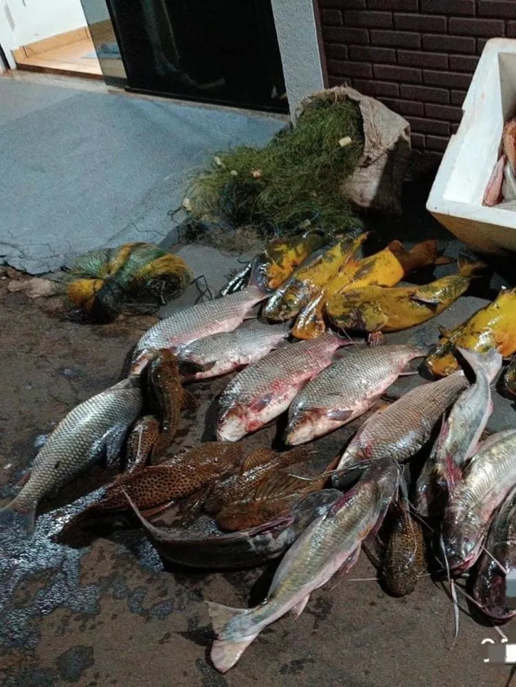 Operação flagra pesca predatória no Rio Ivaí e apreende mais de 100 kg de pescado