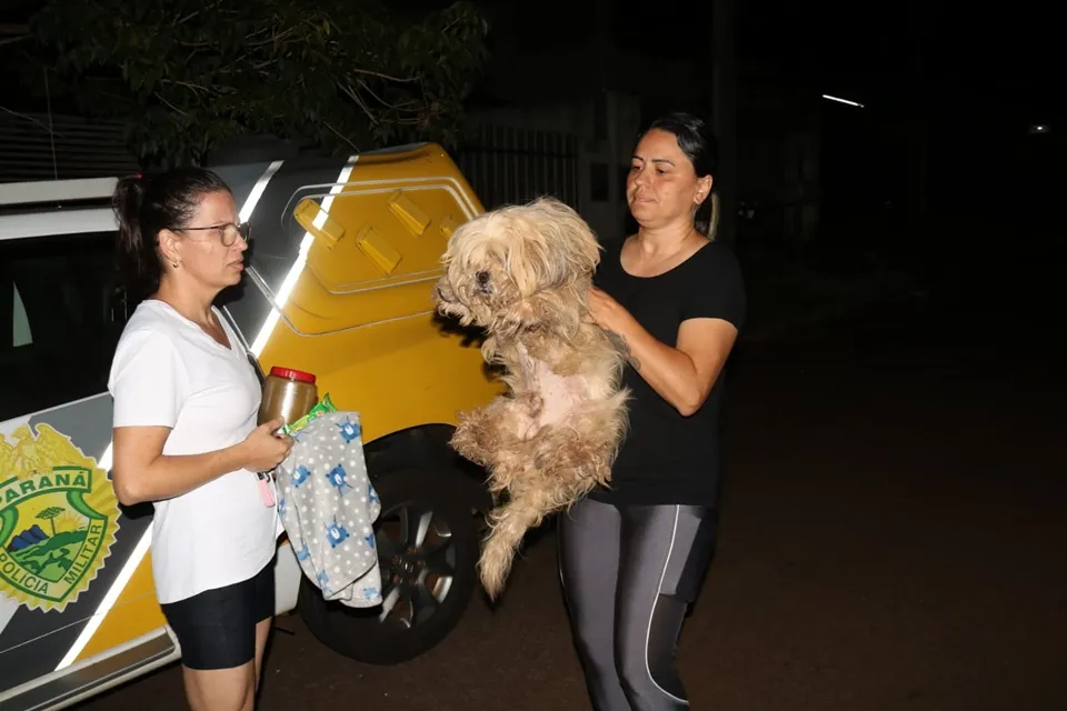 Uma cachorra já estava morta e outra bastante debilitada – Foto: Rafael Silvestrin/Tasabendo.com